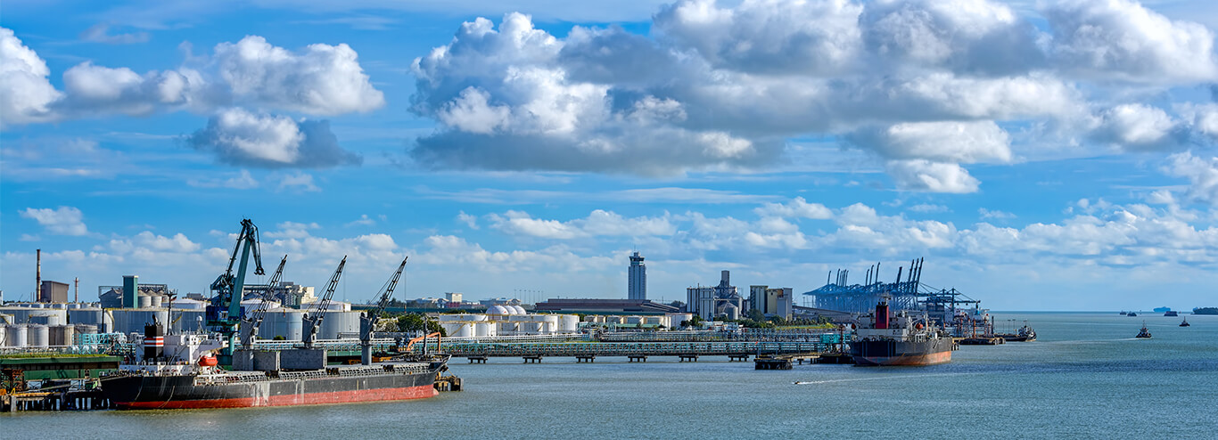 皇家超值品牌日,畅享限时第二人半价!|皇家加勒比国际游轮中国官方网