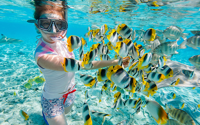 会员专属的船上未来假期预订优惠